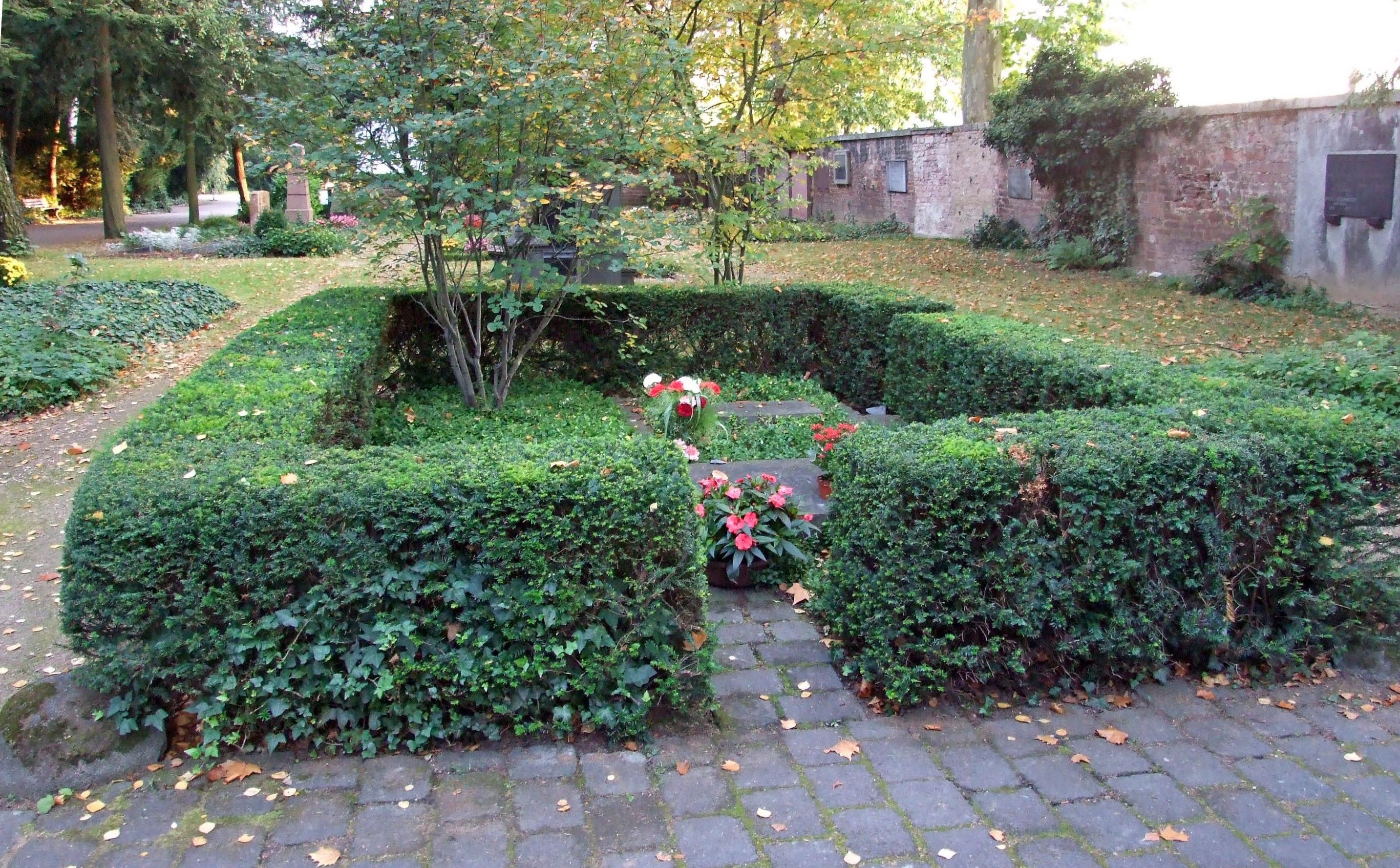 Von einer niedrigen Hecke eingefasste Grabstätte Arthur Schopenhauers auf dem Hauptfriedhof Frankfurt