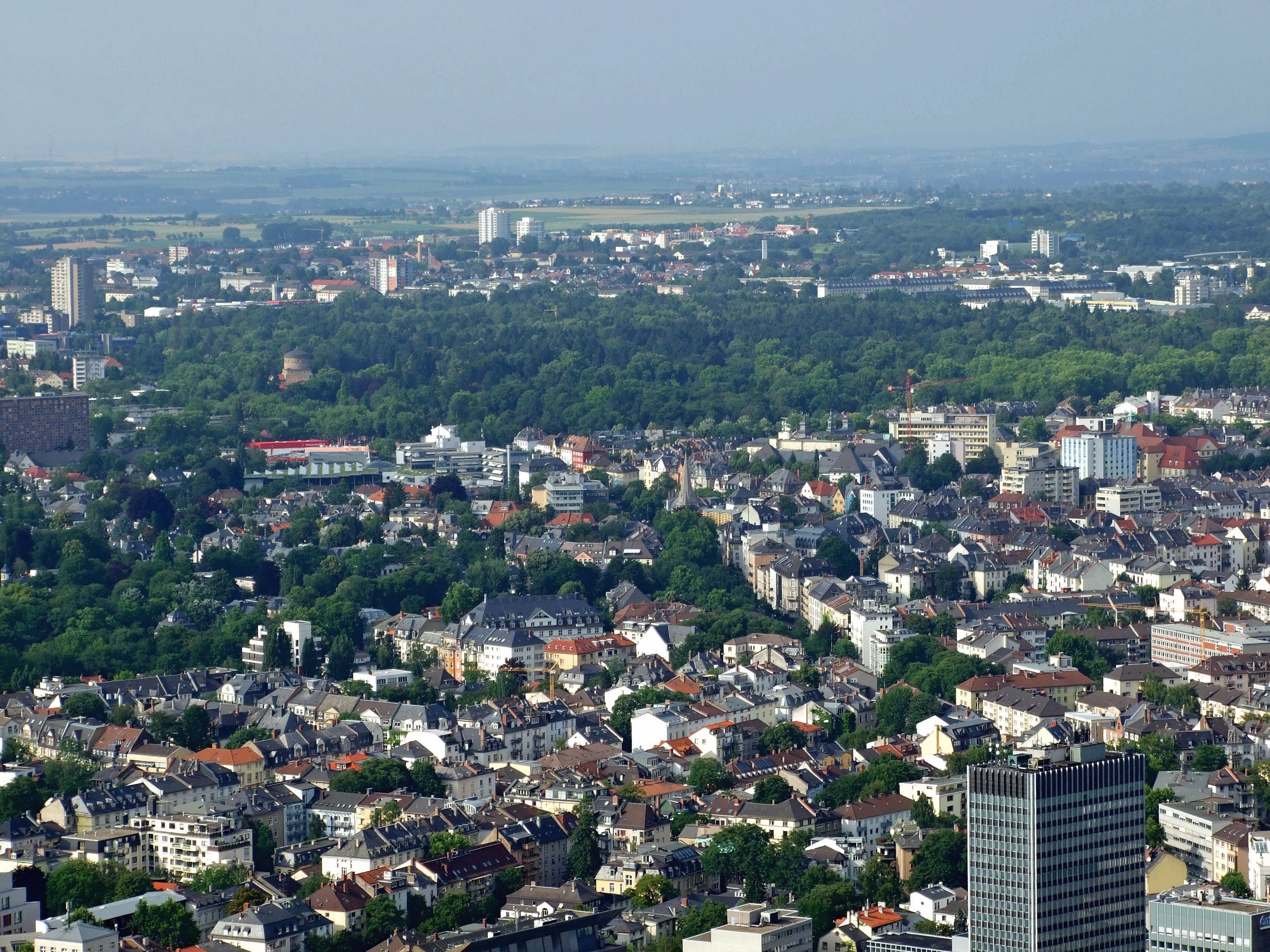 Luftblick auf den bewaldeten Hauptfriedhof als große Grünfläche in Frankfurt